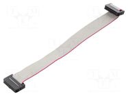 Ribbon cable with IDC connectors; Tape ph: 1mm; Contacts ph: 2mm CONNFLY