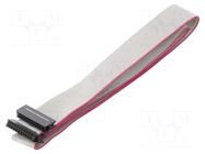 Ribbon cable with IDC connectors; Tape ph: 1mm; Contacts ph: 2mm CONNFLY