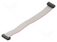 Ribbon cable with IDC connectors; Tape ph: 1mm; Contacts ph: 2mm CONNFLY