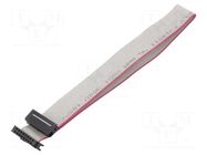 Ribbon cable with IDC connectors; Tape ph: 1mm; Contacts ph: 2mm CONNFLY