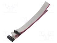 Ribbon cable with IDC connectors; Cable ph: 1mm; 0.6m; 16x28AWG CONNFLY