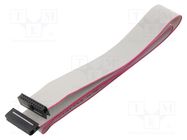 Ribbon cable with IDC connectors; Cable ph: 1mm; 0.6m; 20x28AWG CONNFLY