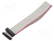 Ribbon cable with IDC connectors; Cable ph: 1mm; 0.3m; 24x28AWG CONNFLY