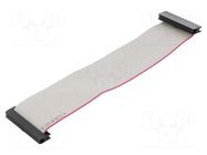 Ribbon cable with IDC connectors; Tape ph: 1mm; Contacts ph: 2mm CONNFLY