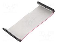Ribbon cable with IDC connectors; Tape ph: 1mm; Contacts ph: 2mm CONNFLY