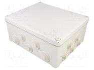 Enclosure: junction box; X: 245mm; Y: 295mm; Z: 125mm; wall mount SCHNEIDER ELECTRIC