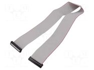 Ribbon cable with IDC connectors; Tape ph: 1mm; Contacts ph: 2mm CONNFLY