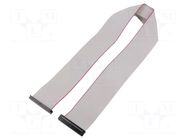 Ribbon cable with IDC connectors; Tape ph: 1mm; Contacts ph: 2mm CONNFLY