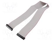 Ribbon cable with IDC connectors; Cable ph: 1mm; 0.6m; 50x28AWG CONNFLY