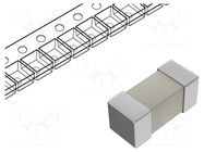 Fuse: fuse; 3A; 350VAC; 72VDC; quick blow; ceramic; 6.1x2.54x2.54mm BEL FUSE
