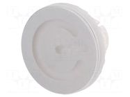 Actuator lens; 22mm; 61; transparent; plastic; Face dim: Ø19.7mm EAO