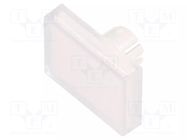 Actuator lens; 22mm; 61; transparent; plastic; Dim: 18x24mm EAO