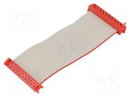 Ribbon cable with connectors; Tape ph: 1.27mm; PIN: 20; 2x10 TE Connectivity