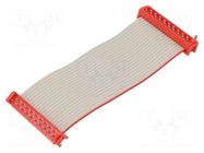 Ribbon cable with connectors; Tape ph: 1.27mm; PIN: 20; 2x10 TE Connectivity
