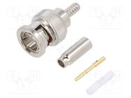 Connector: BNC; plug; male; straight; 75Ω; crimped; for cable; PTFE AMPHENOL RF