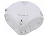 Enclosure: junction box; X: 93mm; Y: 93mm; Z: 62mm; IP66; grey HENSEL