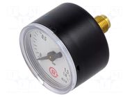 Manometer; 0÷1.6bar; G 1/8",rear connection; 40mm; Temp: -20÷60°C PNEUMAT
