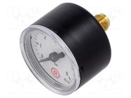 Manometer; 0÷6bar; G 1/8",rear connection; 40mm; Temp: -20÷60°C PNEUMAT