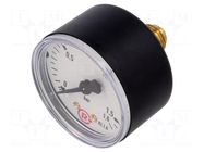 Manometer; 0÷1.6bar; G 1/4",rear connection; 50mm; Temp: -20÷60°C PNEUMAT