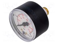 Manometer; 0÷25bar; G 1/4",rear connection; 50mm; Temp: -20÷60°C PNEUMAT