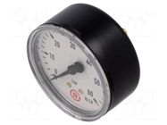 Manometer; 0÷60bar; G 1/4",rear connection; 63mm; Temp: -20÷60°C PNEUMAT