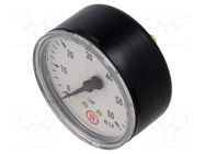 Manometer; 0÷60bar; G 1/4",rear connection; 63mm; Temp: -20÷60°C PNEUMAT