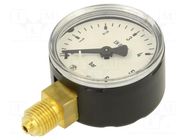 Manometer; 0÷6bar; G 1/4",bottom connection; 50mm; Temp: -20÷60°C PNEUMAT