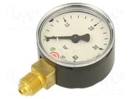 Manometer; 0÷40bar; G 1/4",bottom connection; 50mm; metal PNEUMAT