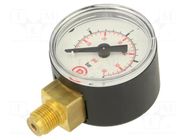 Manometer; 0÷4bar; G 1/8",bottom connection; 40mm; Temp: -20÷60°C PNEUMAT