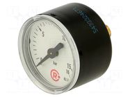 Manometer; 0÷16bar; G 1/8",rear connection; 40mm; Temp: -20÷60°C PNEUMAT