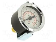Manometer; 0÷1bar; G 1/8",rear connection; 40mm; Temp: -20÷60°C PNEUMAT