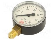 Manometer; 0÷60bar; G 1/4",bottom connection; 63mm; metal PNEUMAT