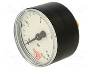 Manometer; 0÷4bar; G 1/4",rear connection; 50mm; Temp: -20÷60°C PNEUMAT