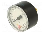 Manometer; 0÷16bar; G 1/4",rear connection; 50mm; Temp: -20÷60°C PNEUMAT