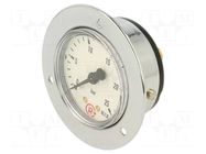 Manometer; 0÷25bar; G 1/4",rear connection; 50mm; Temp: -20÷60°C PNEUMAT