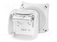 Enclosure: junction box; X: 104mm; Y: 104mm; Z: 70mm; IP66,IP67; grey HENSEL