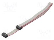 Ribbon cable with IDC connectors; Cable ph: 1mm; 0.3m; 10x28AWG CONNFLY