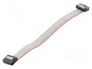 Ribbon cable with IDC connectors; Tape ph: 1mm; Contacts ph: 2mm CONNFLY