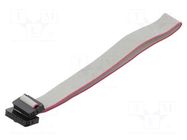 Ribbon cable with IDC connectors; Tape ph: 1mm; Contacts ph: 2mm CONNFLY