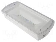 Lamp: LED emergency luminaire; SafeLite; IP42; white; 230VAC; 2Ah EATON ELECTRIC