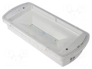 Lamp: LED emergency luminaire; SafeLite; IP42; white; 230VAC; 2Ah EATON ELECTRIC