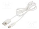 Cable; USB 2.0; USB A plug,USB C plug; 1m; white; 480Mbps; 2.1A SAVIO
