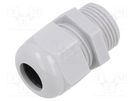 Cable gland; without nut; M20; 1.5; IP68; polyamide; light grey TE Connectivity