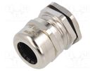 Cable gland; PG21; IP68; brass; Entrelec TE Connectivity