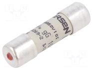 Fuse: fuse; 10A; 500VAC; 250VDC; gG; 10x38mm MERSEN