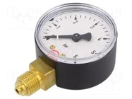 Manometer; 0÷6bar; G 1/4",bottom connection; 50mm; Temp: -20÷60°C PNEUMAT