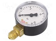 Manometer; 0÷16bar; G 1/4",bottom connection; 50mm; plastic PNEUMAT