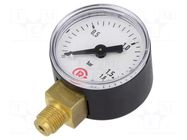 Manometer; 0÷1.6bar; G 1/8",bottom connection; 40mm; plastic PNEUMAT