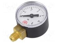 Manometer; 0÷6bar; G 1/8",bottom connection; 40mm; Temp: -20÷60°C PNEUMAT