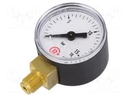 Manometer; 0÷16bar; G 1/8",bottom connection; 40mm; plastic PNEUMAT